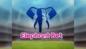 elepant bet|Betting website .
